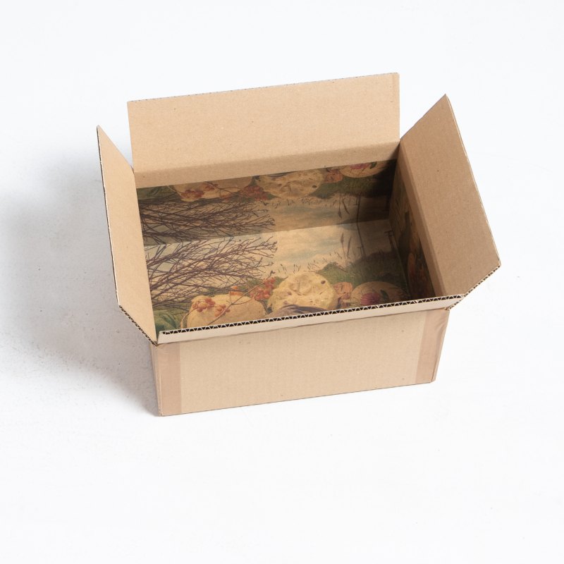 Evelyn Yuritza Tovar Toro