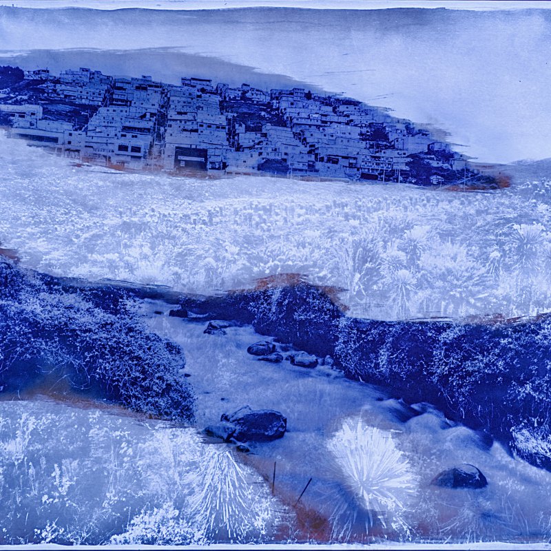 Luisa Carolina Vélez Hurtado