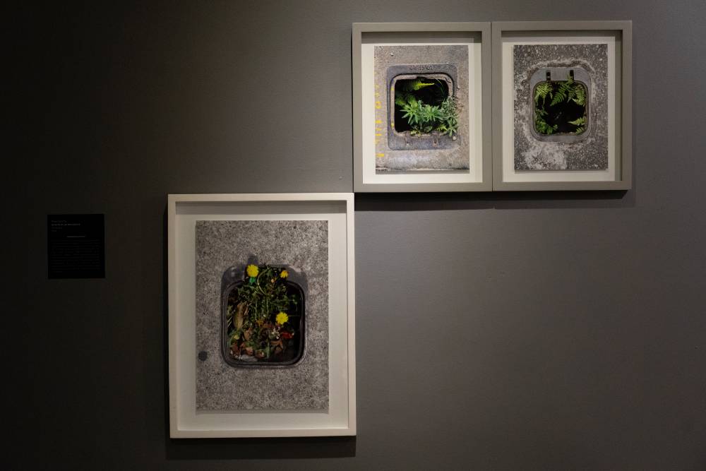 La ciudad de los espectros: Bogotá ante el tiempo