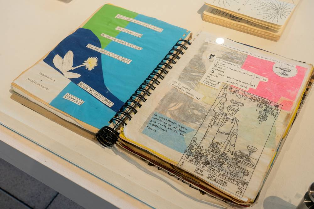 Umbrales de sanación