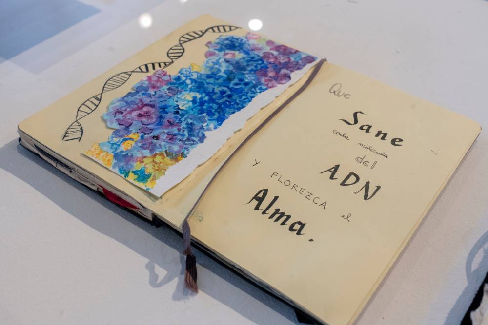 Umbrales de sanación