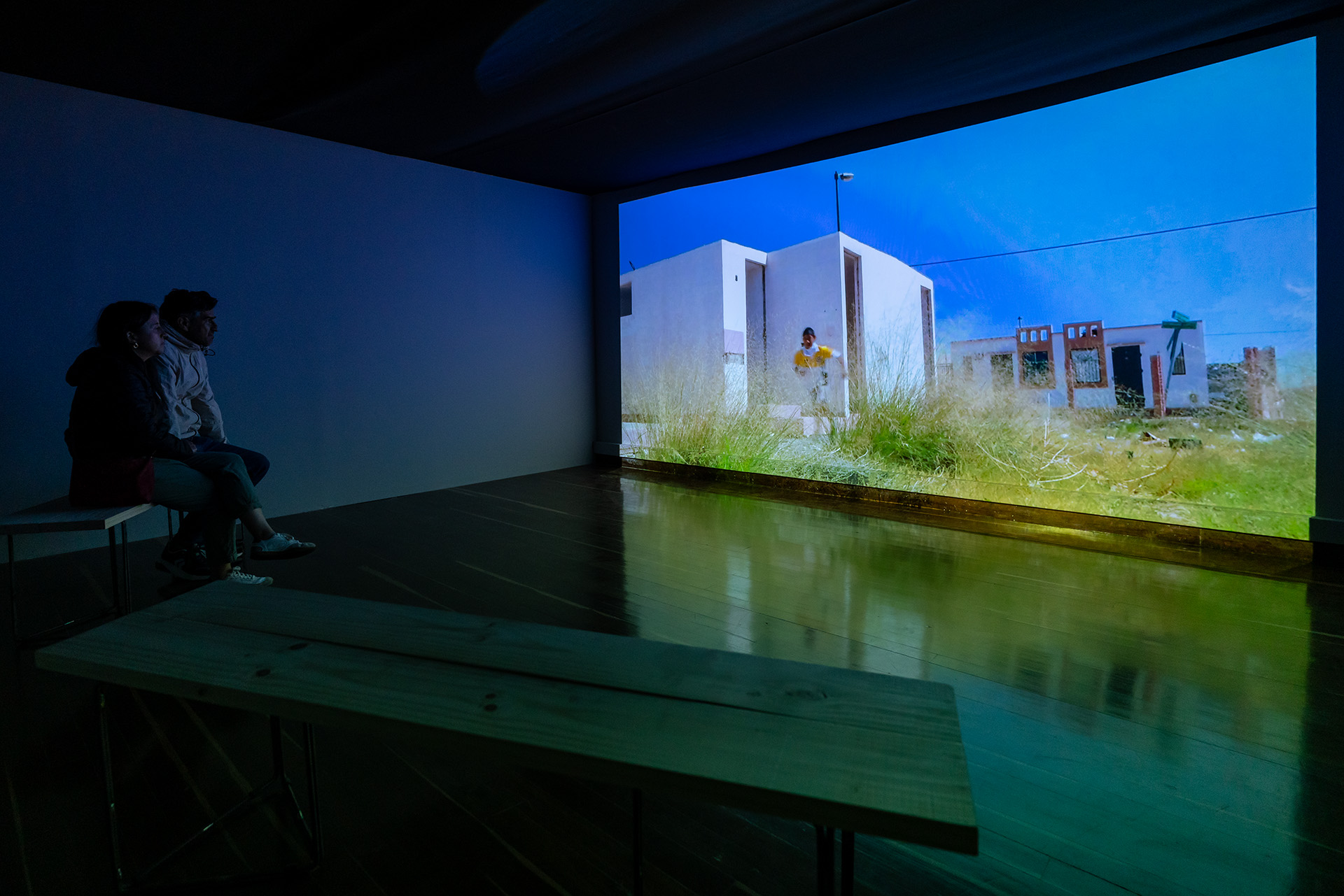 Francis Alÿs
