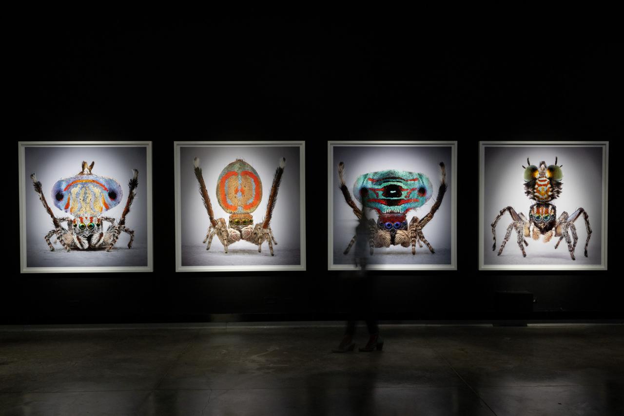 María Fernanda Cardoso