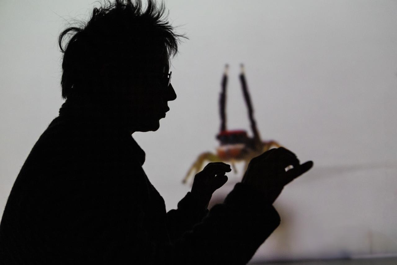 María Fernanda Cardoso