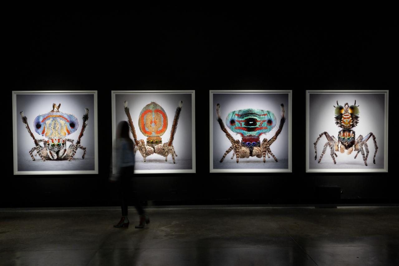 María Fernanda Cardoso