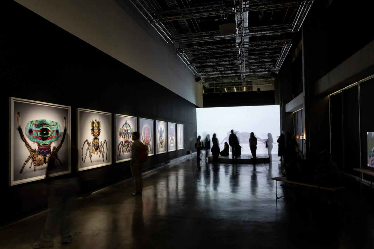 María Fernanda Cardoso