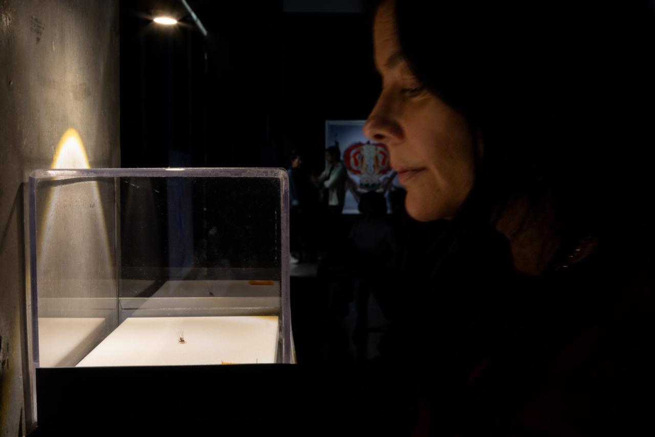 María Fernanda Cardoso