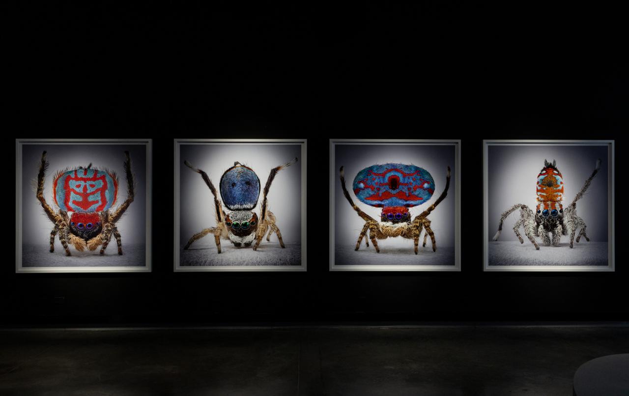 María Fernanda CardosoMaría Fernanda Cardoso