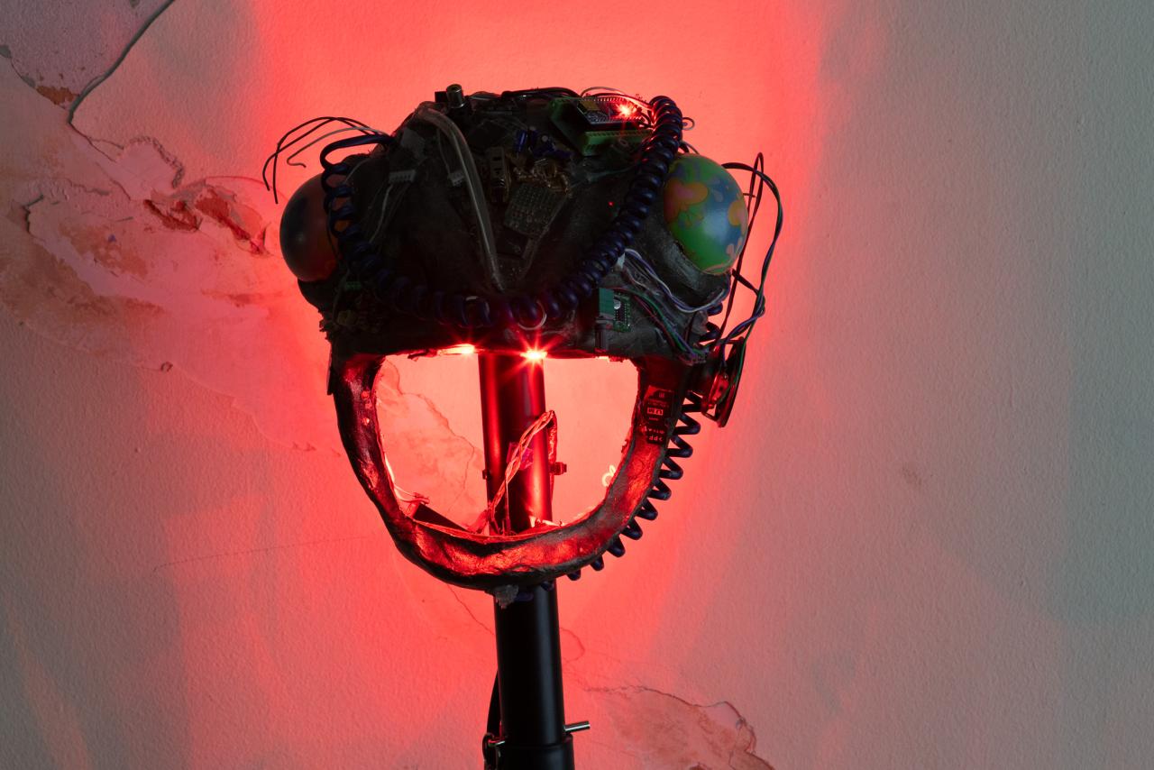 Naomí Rincón-Gallardo