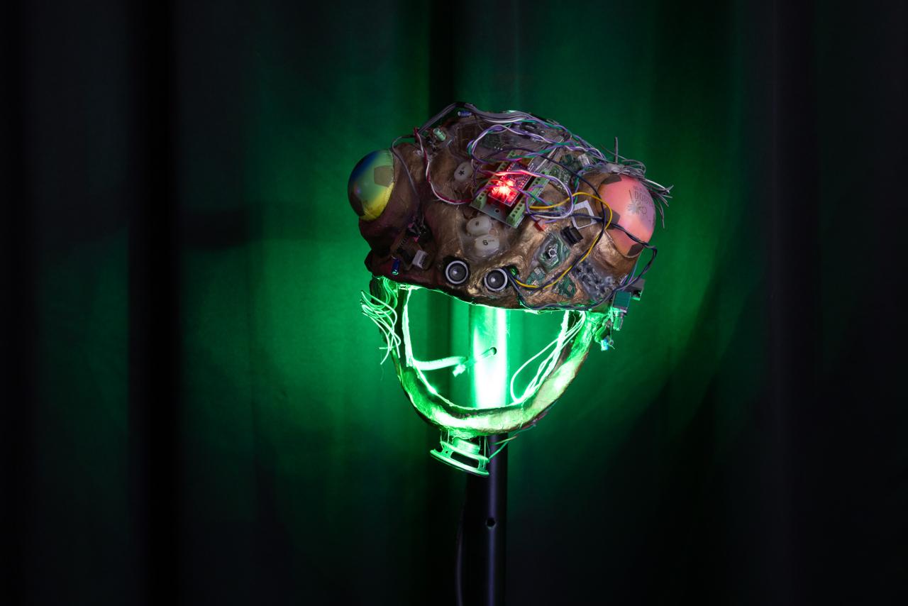 Naomí Rincón-Gallardo